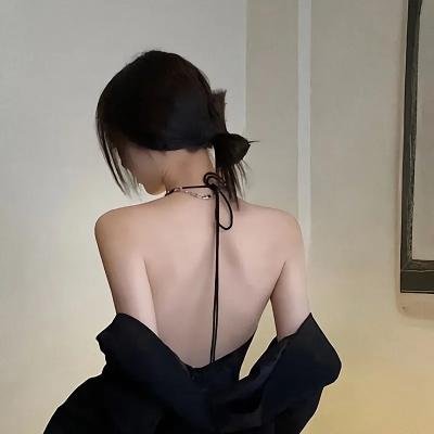 港湾第五季