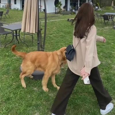 少数意见