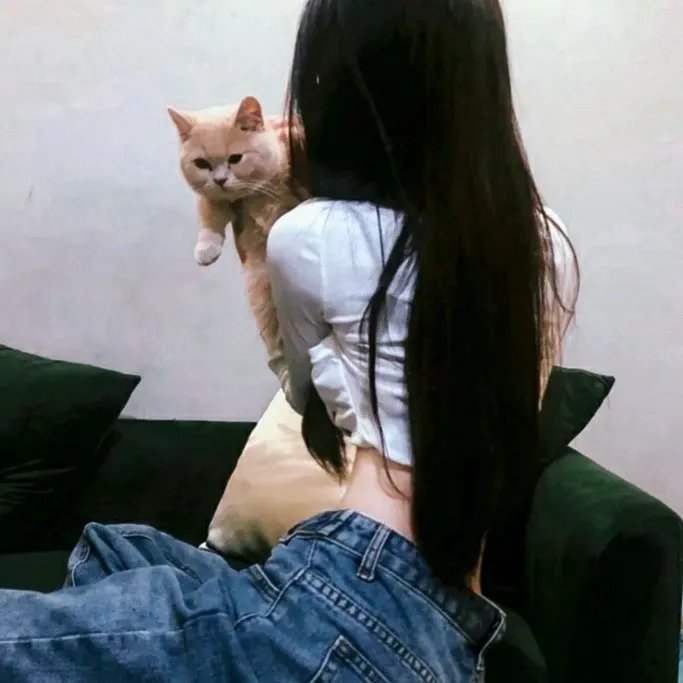 绿豚街影